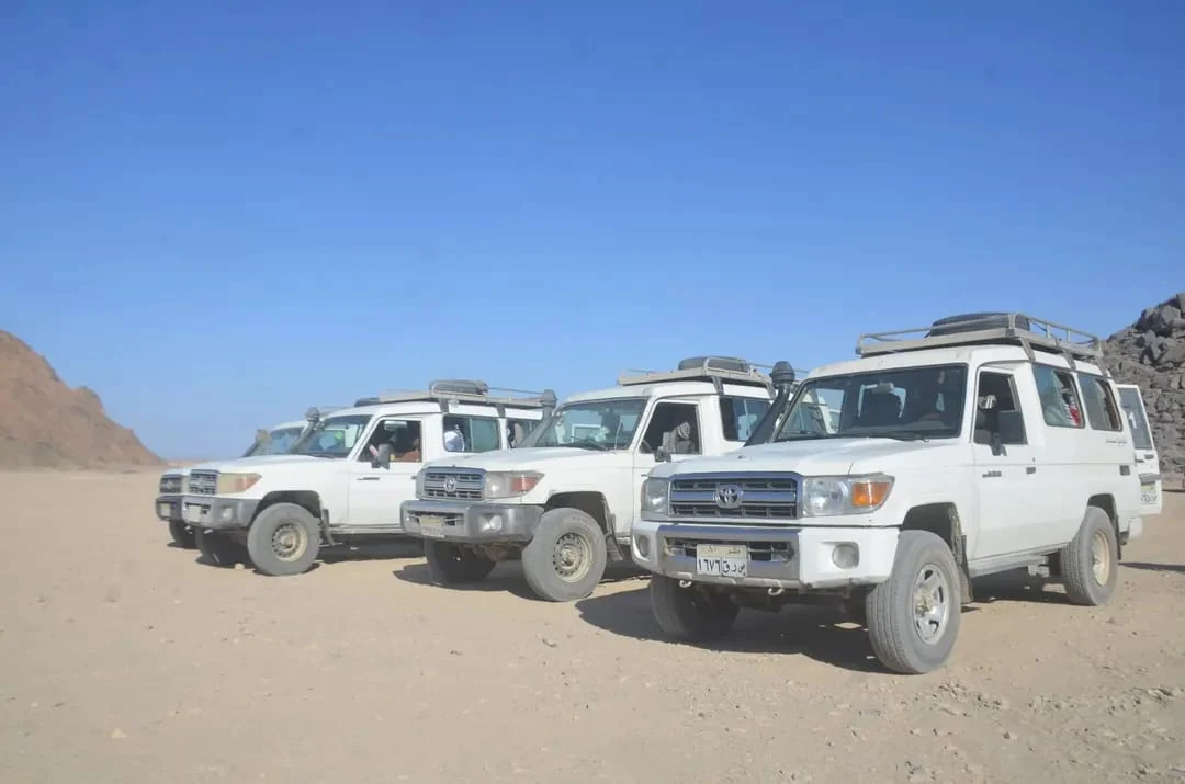 Super Safari VIP